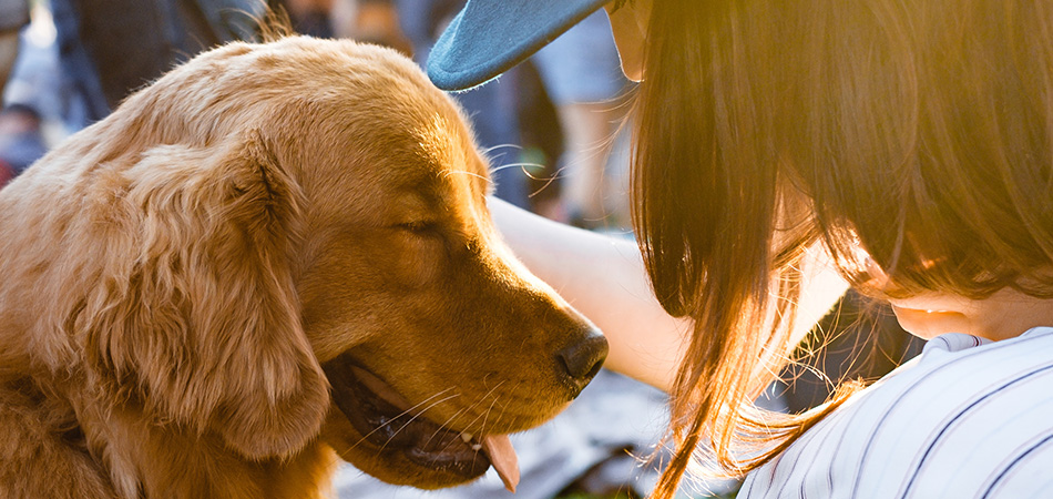 Dog helping woman feel less stressed