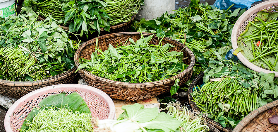 Herbal medicine herbs in baskets