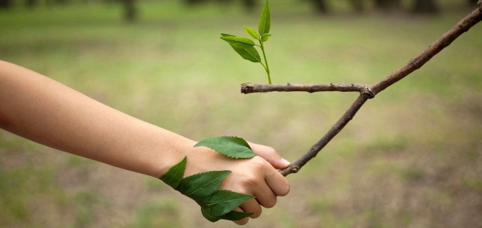 Woman holding hands with a branch | natural anxiety remedy