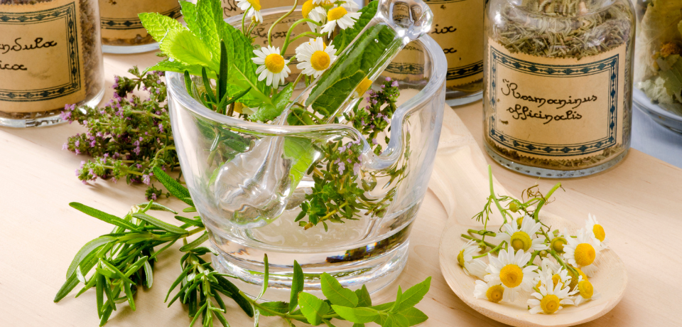 Herbal Medicines to beat a cold